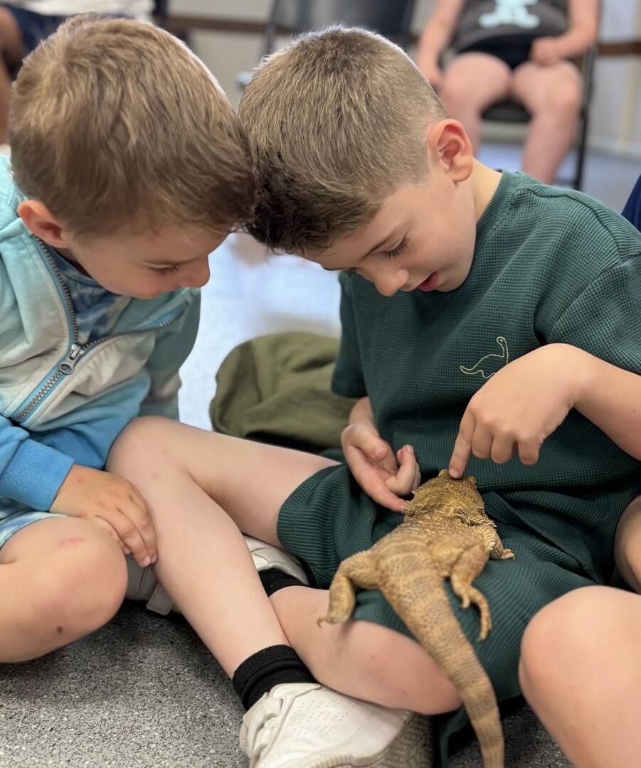 One World Animals - Guildford — event image
